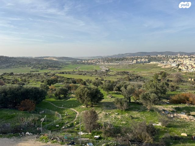 רמת התנאים / רמת בית שמש ב'