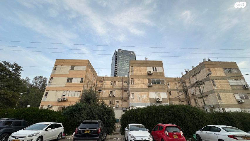 דוד וולפסון 