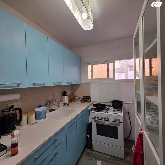 דירה, עין גדי, ג'סי כהן, חולון