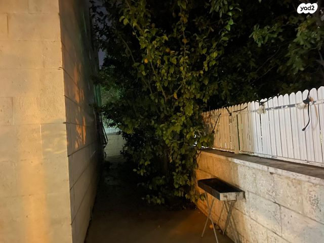 דירת גן, אריק לביא, קרית האמנים, מצליח, רמלה