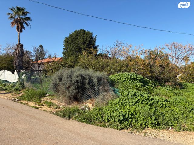 בית פרטי/ קוטג', נאות הדרים, גן יבנה