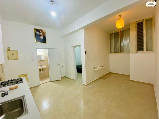 דוד רזיאל 55