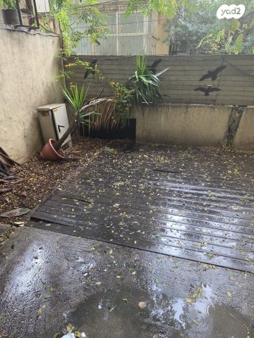 דירה, דיזנגוף, הצפון הישן - צפון, תל אביב יפו