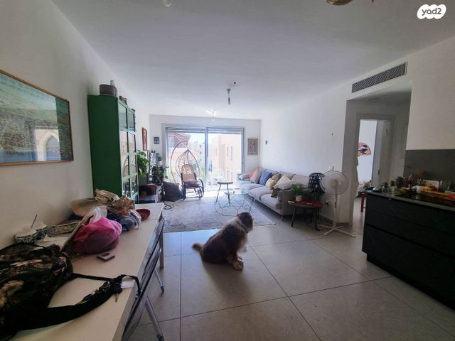 מכללת תל אביב יפו, דקר