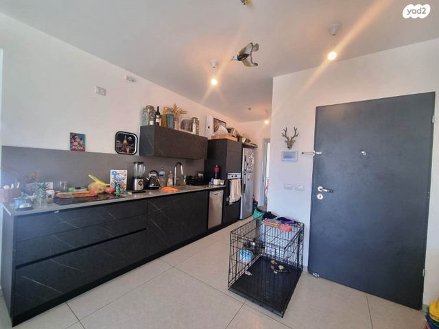 דירה, מכללת תל אביב יפו, דקר, תל אביב יפו