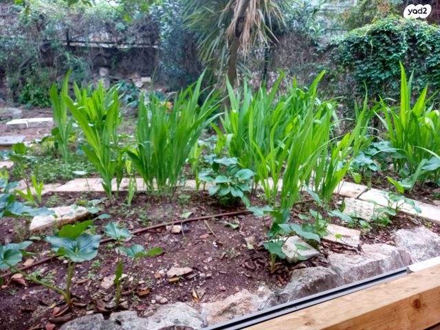 דירת גן, דרך הטכניון, בן דור, נשר