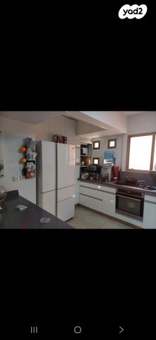 דירת גן, המעיינות, שחמון, רובע 8, אילת