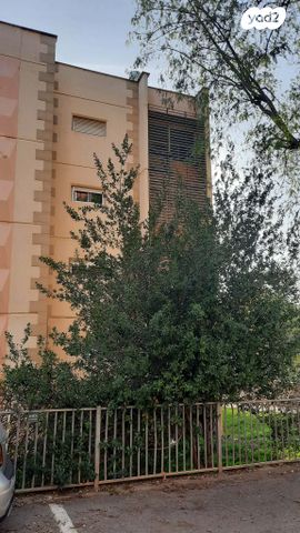 משעול הדולב 