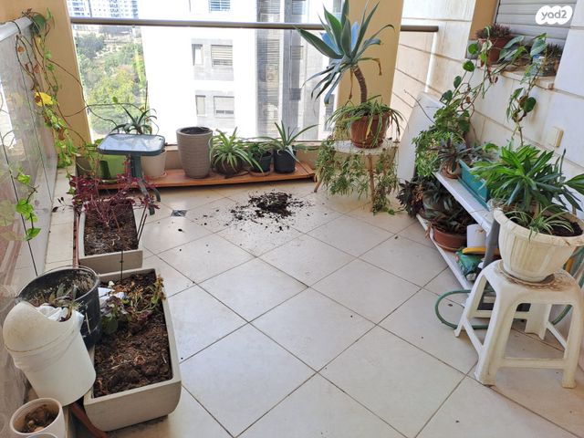 דירה, אביב, מגדיאל, הוד השרון