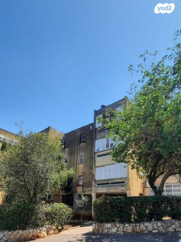 דירה, חבצלת, אשכול, כרמיאל