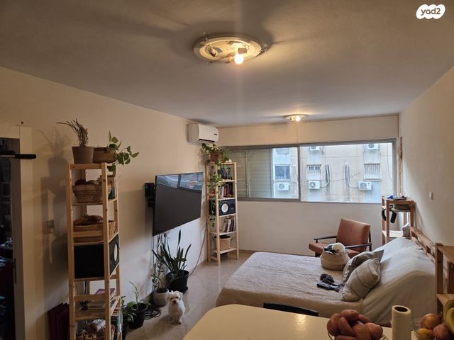 דרך עכו חיפה 