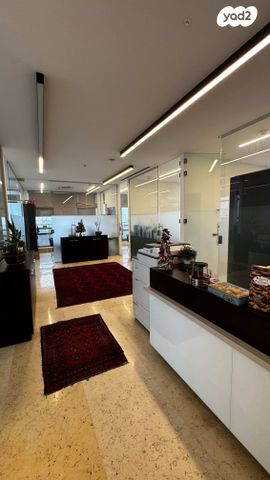 משרדים, מעלה השיחרור, העיר התחתית, ואדי סאליב, חיפה