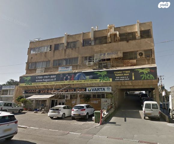 אריה שנקר 13