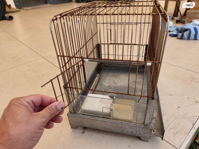 תמונת מודעה - חיות מחמד