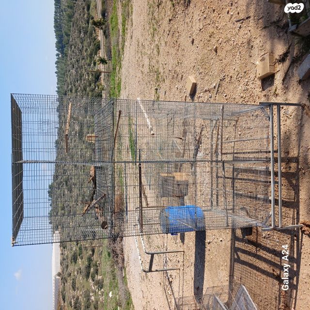 תמונת מודעה - חיות מחמד