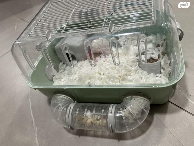 תמונת מודעה - חיות מחמד