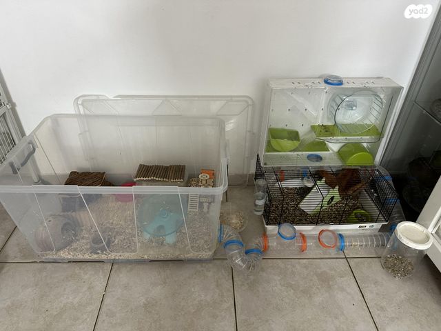 תמונת מודעה - חיות מחמד