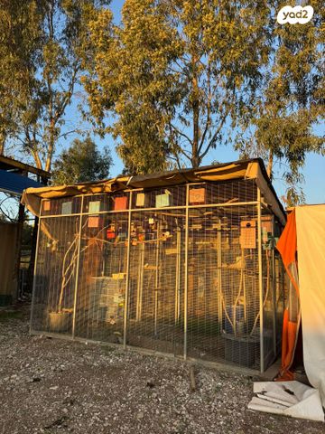 תמונת מודעה - חיות מחמד