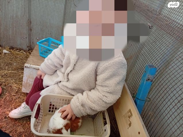 מכרסם ארנב \ שפן