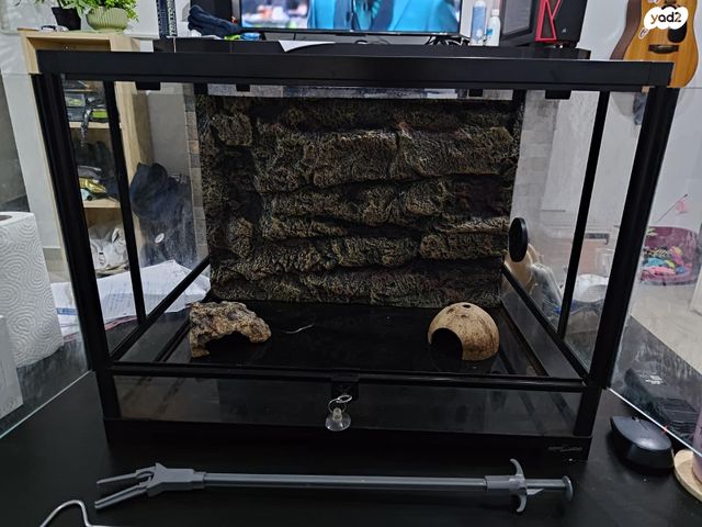 אביזרים | טרריום