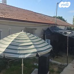 טבועי אגוז 17