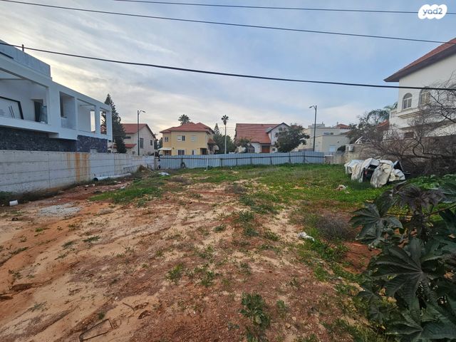 שלמה פומבורובסקי 10