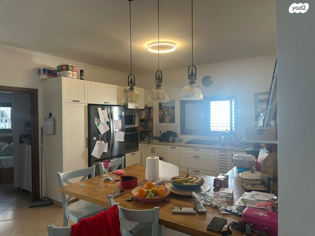 דוד אלעזר 43