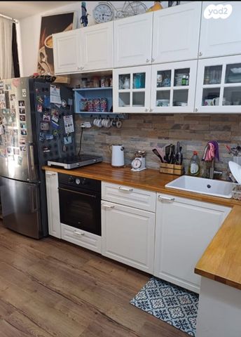 אריה שנקר 58