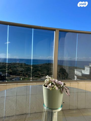 ארזי הלבנון 22