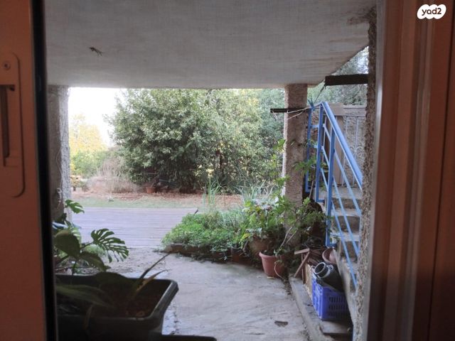 יגאל אלון 35