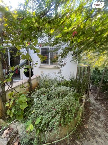 דרך הפרחים 7