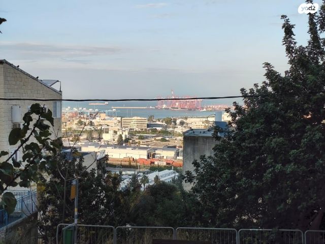 דוד רזיאל 46