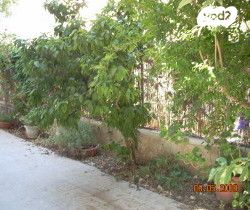 האדמו"ר מבויאן 8