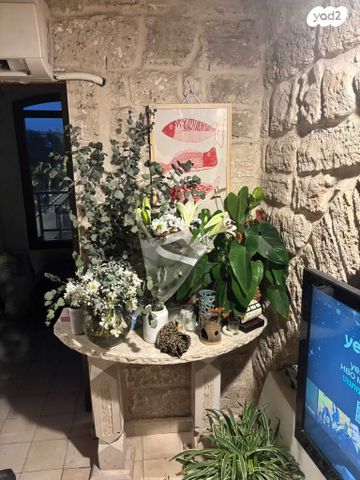 דירה, החלפנים 1, יפו העתיקה, תל אביב יפו