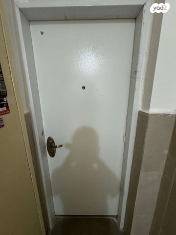 דוד אלעזר 15