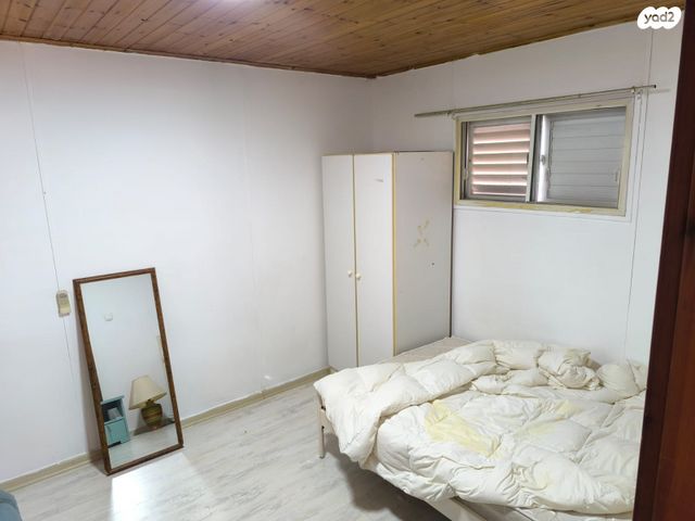 כללי, ארז 1, שורשים, שורשים