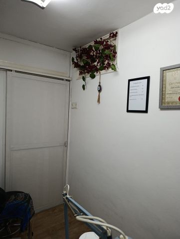 צלילי חנינא 36