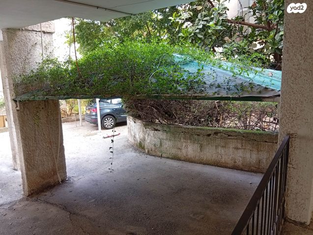 יוסף הגלילי 20