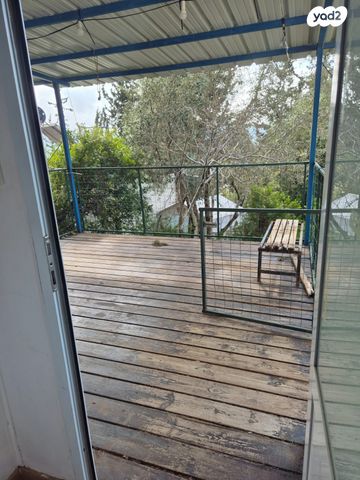 כללי, ארז 1, שורשים, שורשים