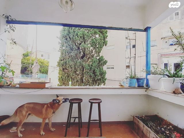 דירה, בן יהודה 2, הרצליה, חיפה