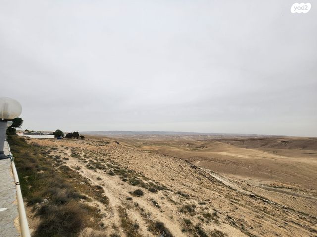 דו משפחתי, עורב, מעוף, ערד