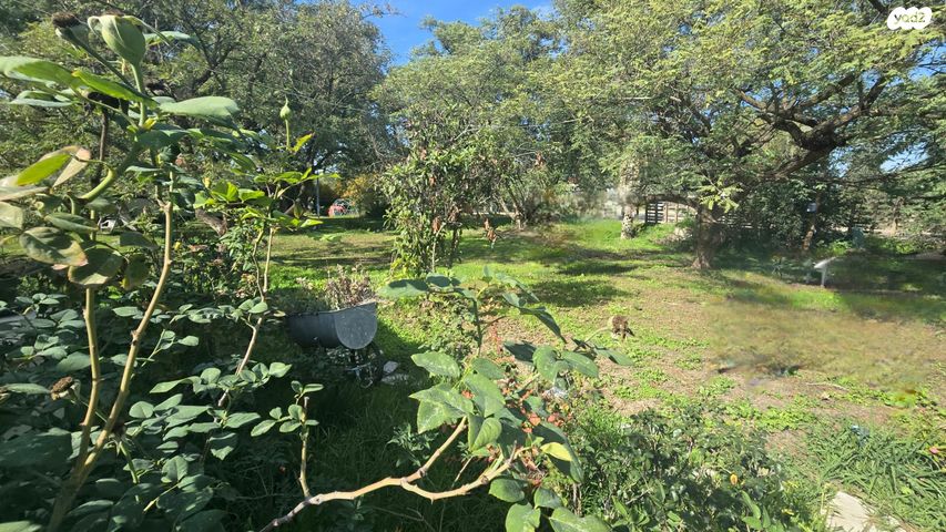 משק חקלאי/ נחלה, טל שחר