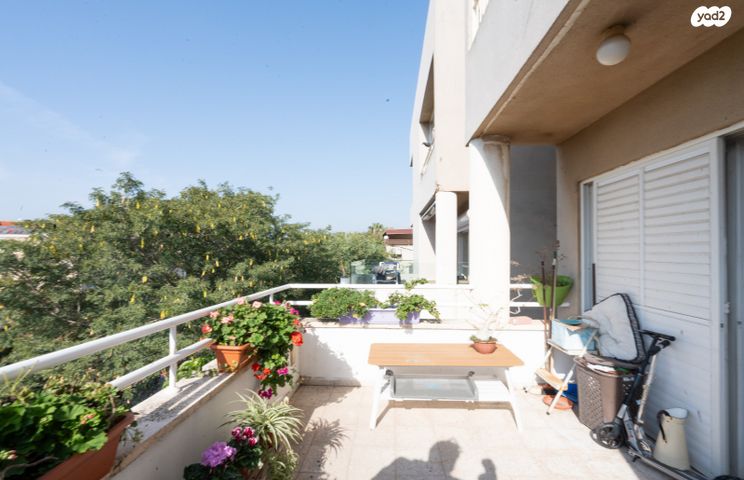 דירה, מלכי יהודה, הרצליה הירוקה, נווה עובד, הרצליה