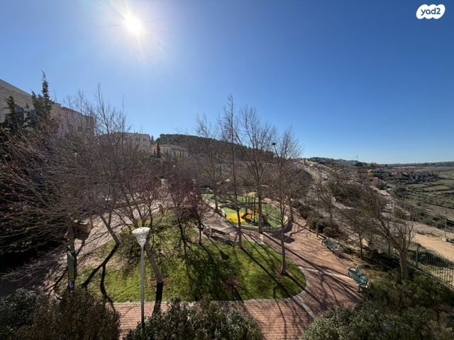 יהודה המכבי 