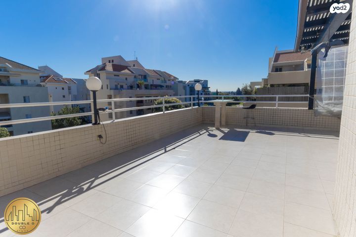 שועלי שמשון 8