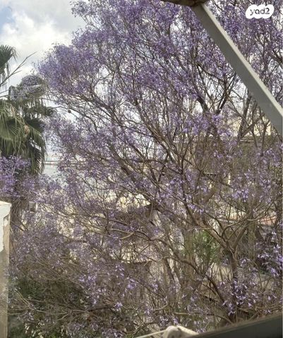 דירה, תל חי 11, הדר מרכז, חיפה