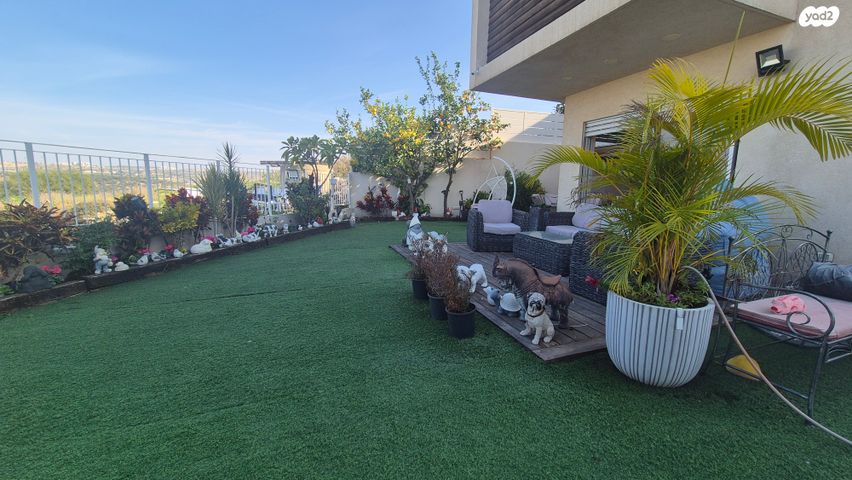 דו משפחתי, אורנית, אורנית