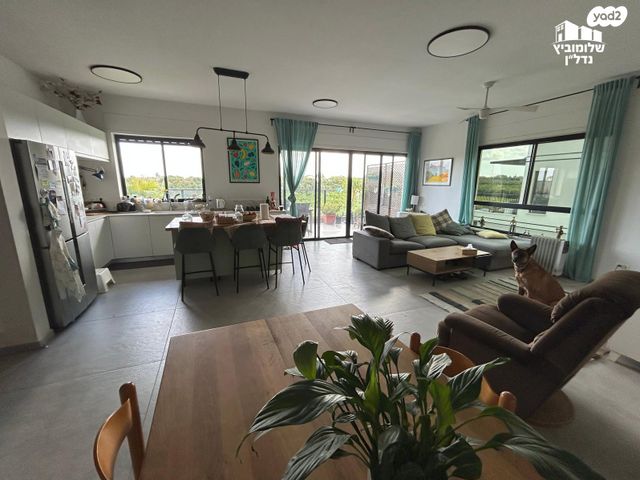 גג/ פנטהאוז, שכונה 11, תל מונד