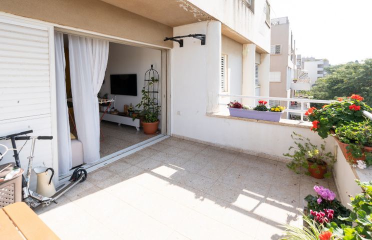 דירה, מלכי יהודה, הרצליה הירוקה, נווה עובד, הרצליה