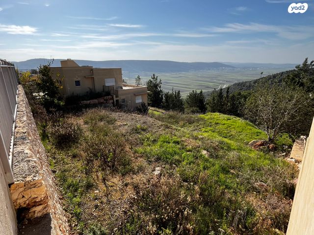 מגרשים, החורש, אבטליון